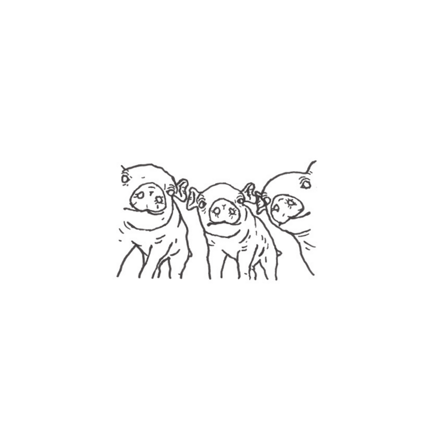 the pigs